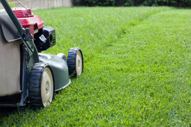 Get the Best Lawn on the Block